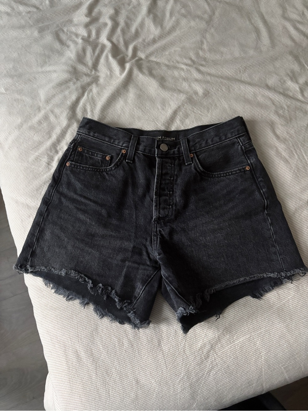Aritzia Denim Forum Ex-Boyfriend Jean Shorts